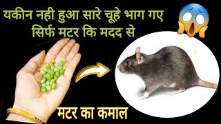 बिना दवाई बिना मारे चूहे भगाने का आसान तरीक़ा New Kitchen Tips How to get rid of rat naturally [upl. by Diver]