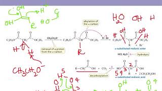 Organic Chemistry II Chapter 17 part 7 Malonic Ester and Acetoacetic Ester Synthesis [upl. by Yrallih978]