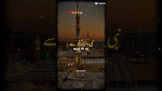 madina pak status short videoclip viralshort onthisday [upl. by Petty]