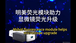 Is there any good solution for fluorescence upgrade [upl. by Ecirtac]