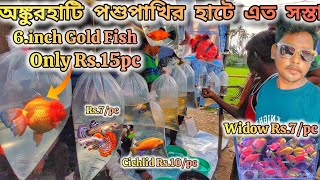 Ankurhati Pets Market Recent Video  অঙ্কুরহাটি পশুপাখির হাটে বড বড মাছ জলের দাম Ankurhatipetmarket [upl. by Kristal168]