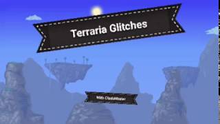 Terraria Glitches [upl. by Aynwat]