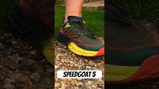 HOKA SPEEDGOAT 5 REVIEW  Trail Shoe  shorts hoka speedgoat5 runningshoes running [upl. by Sarchet]