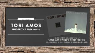 Tori Amos  quotUnder The Pinkquot Official Full Album Stream [upl. by Evelunn]