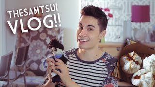 VLOG I Love Pork Buns  Asia Tour 2014 COUNTDOWN  Sam Tsui [upl. by Eihtur]