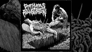 Posthumous Regurgitation  Exhumation of Cadavers for Research FULL ALBUM 2017  Goregrind [upl. by Haronid474]