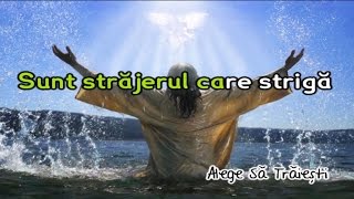 Sunt strajerul care striga  Negativ Crestin [upl. by Blythe]