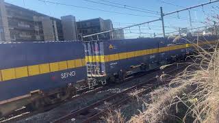 JR貨物 下り 西濃運輸コンテナ JR Freight Downbound Seino Transport Container [upl. by Beebe]