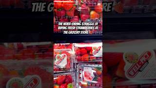 Buying strawberries at the grocery store be like 😱🍓🍓🍓 strawberries comedy funnyshorts [upl. by Aicena]