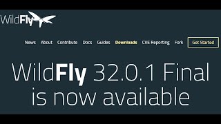 Wildfly Application Server Installation [upl. by Esther]