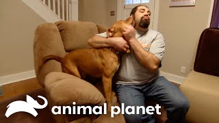 Baker Red Helps A Mourning Family  Pit Bulls and Parolees  Animal Planet [upl. by Cirdes]