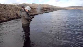 fly fishing in river Sog Iceland [upl. by Langbehn]