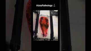 Histology histopathology mywork science interesting job biopsies medical [upl. by Suivatco]