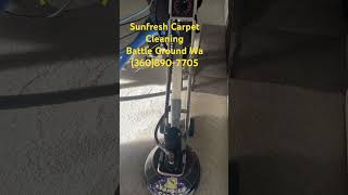 carpetcleaning [upl. by Alyahs]