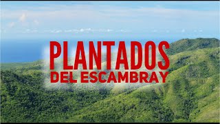 PLANTADOS Presos del Escambray HABLAN [upl. by Nyleve]