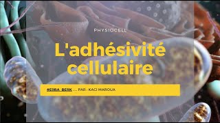 📍 Ladhésivité cellulaire  Physiologie cellulaire E9raberk [upl. by Nylknarf377]