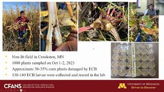 Strategic Farming 2024 Are we smarter than the average European corn borer and corn rootworm [upl. by Wichman]