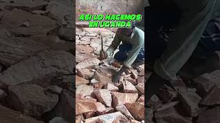 Cementado de aulas en la escuela Nazigo Seeta Uganda [upl. by Hepzi]