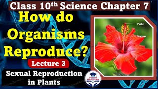 How do Organisms Reproduce Class 10th CBSE  Sexual Reproduction  Lecture 3 ScienceEdustation [upl. by Eire]