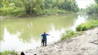 Chinook Salmon caught on the Nottawasaga River [upl. by Domonic]