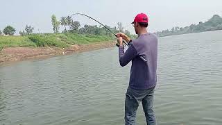 Big monster wallago attu catfish hunting  river monster incredible big pathan fish catching [upl. by Lara]