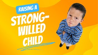 Strong Willed Child with Cynthia Tobias [upl. by Amar]