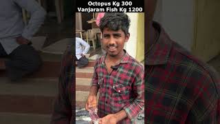 ఆక్టోపస్ Kg 300 వంజరం చేప Kg 1200 Octopus Kg 300 Vanjaram Fish Kg 1200  Ram Nagar Fish Market [upl. by Ellatnahc]