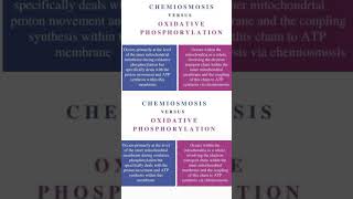 Chemiosmosis vs Oxidative phosphorylation  scienc chemistry botanyforall biology [upl. by Ragse]