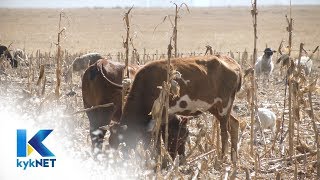 Nuwe verslag waarsku oor gevare van klimaatsverandering  KN VERSLAG  9 OKT  kykNET [upl. by Chrotoem]