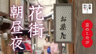 京のこたび 花街 朝昼夜  Kagai of Kyoto  京都いいとこ動画 [upl. by Atteuqehs]