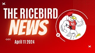 April 11 2024 Ricebird News [upl. by Otrebide896]