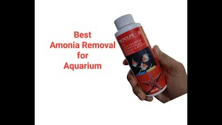 Amonia Removal Microlife s2 Aquarium Maturation [upl. by Emmalynn634]