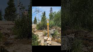 Grouse Mountain BCMC TrailJuly 21 2024 [upl. by Mraz888]