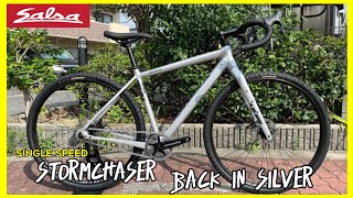 salsa stormchaser single speed the new colour in silver  real gravel bike [upl. by Enilarac698]