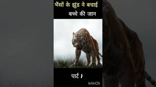 भैंसों के झुंड ने बचाई बच्चे की जान।shortsviral [upl. by Bechler67]