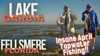 Incredible April Topwater Bass Fishing on Lake Garcia in Fellsmere Florida [upl. by Cello]