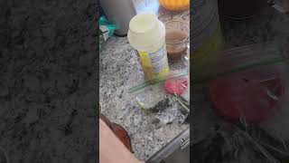 How I make my sofrito [upl. by Rednas]