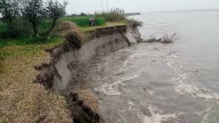 Sindh Darya ka tezz ktao  Land Erosion of Indus River  javed Bhai official [upl. by Krenn612]