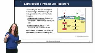 Cell Physiology Cell Signaling [upl. by Elwin211]