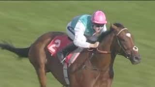 Frankel wins by 13 lengths as a baby [upl. by Orat936]