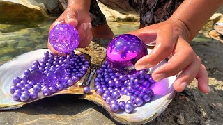 Uncovering the Mystery of River Clams The Story of a Girl Collecting Purple Pearl [upl. by Eneryt]