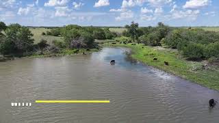 101624 Auction 640 Acres Flint Hills Ranch Butler County Kansas Lake Pasture Pens amp Hunting [upl. by Delaney]