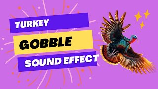 Turkey Gobble Sound Effect with Animated Turkey [upl. by Atekal]