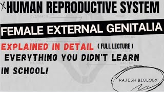 Female External Genitalia Vulva  Human Reproductive System  2nd Zoology  NEET  Rajesh Biology [upl. by Llecrup]