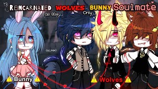 Reincarnated As The WOLVES Only BUNNY Soulmate  •FULL MOVIE•  GCMM  Gacha Club  Original [upl. by Nnav361]