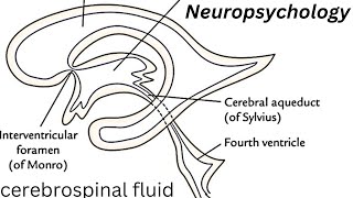 WHAT is NEURODEGENERATIVE [upl. by Nisior676]