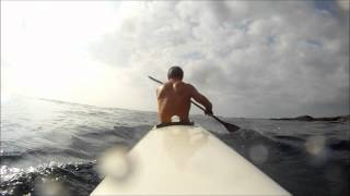 Surfing Epic V10  Dolphin Paddling Partners [upl. by Guild487]