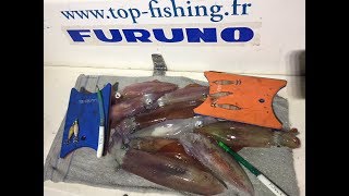 Tuto Détecter les calamars au sondeur FURUNO [upl. by Iams852]