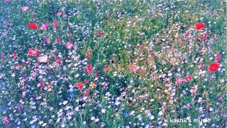 Flower garden [upl. by Yssak]