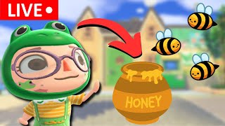 🔴making a honey stand for my florida island [upl. by Elleved]